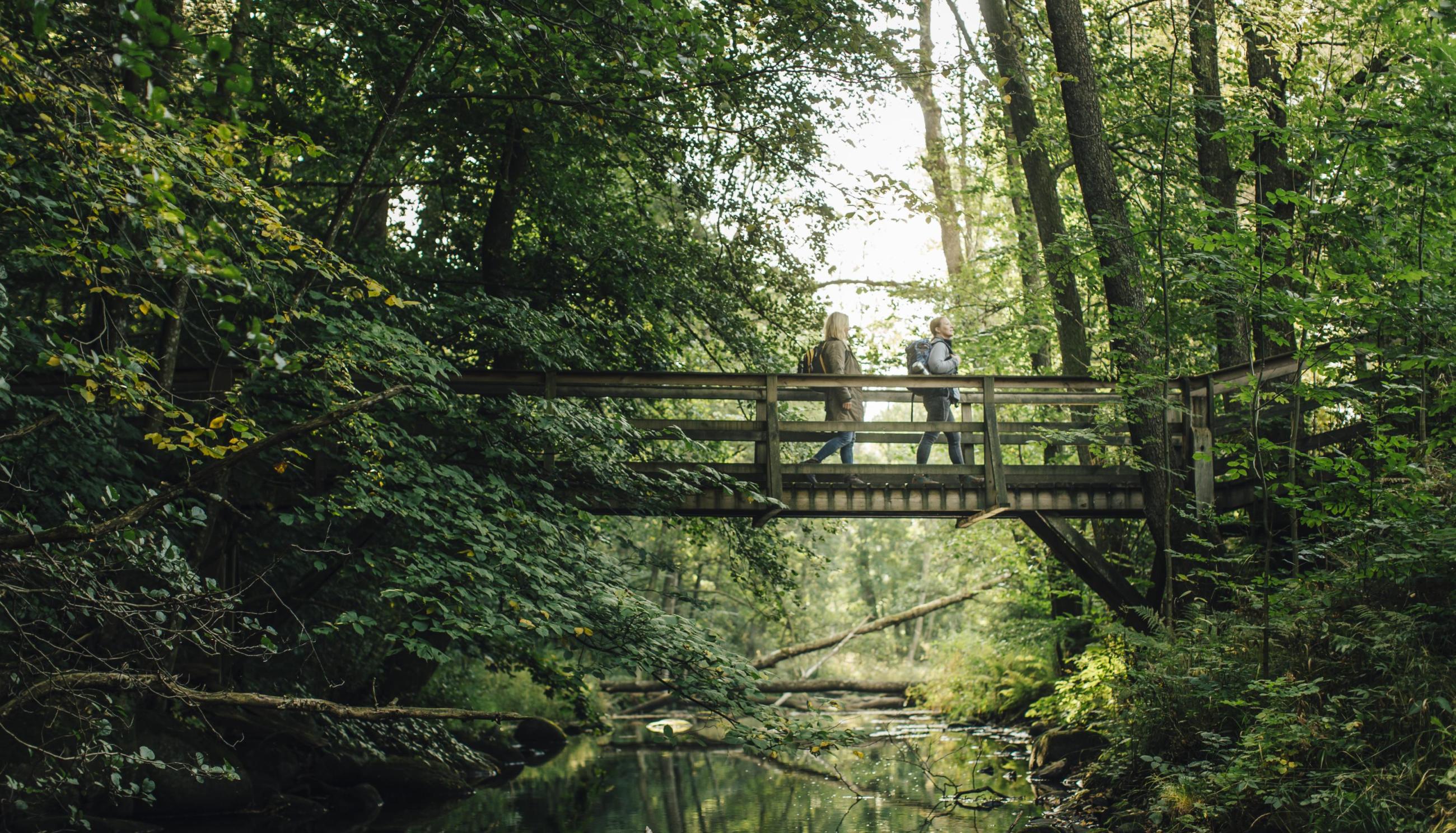 Hiking in Verkeån